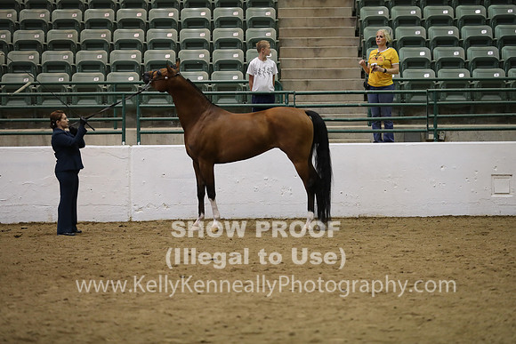 R319_MonAM_0612
