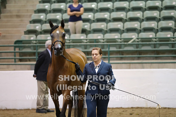 R319_MonAM_0614