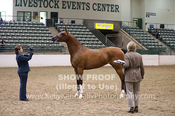 R319_MonAM_0615