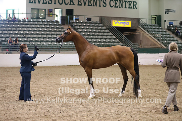 R319_MonAM_0616