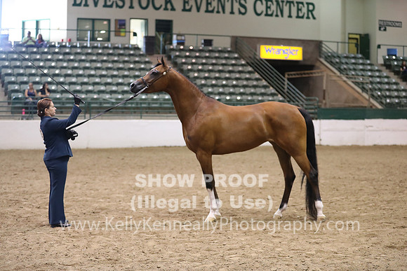 R319_MonAM_0617