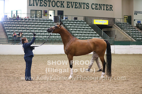 R319_MonAM_0618