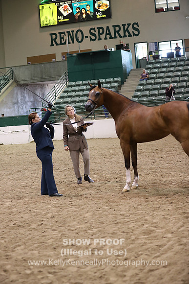 R319_MonAM_0619