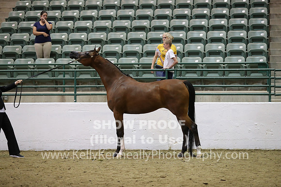 R319_MonAM_0621