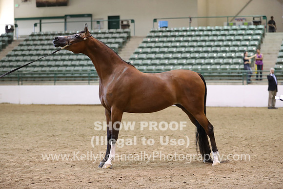 R319_MonAM_0626