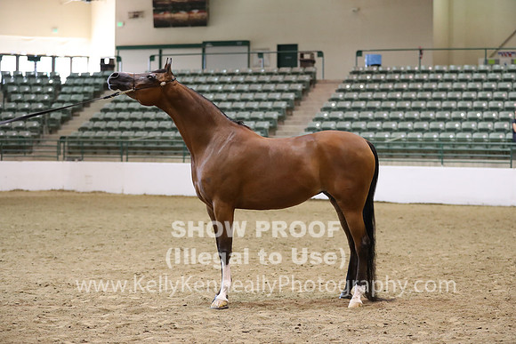 R319_MonAM_0627