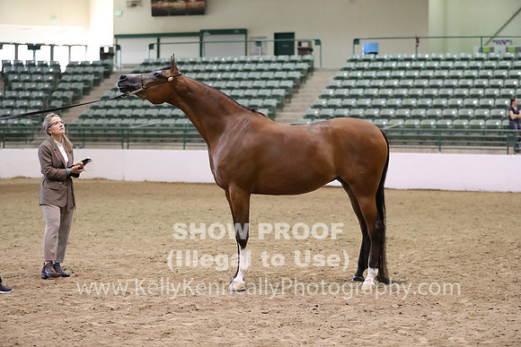 R319_MonAM_0628