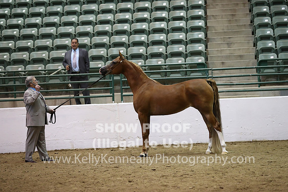 R319_MonAM_0629