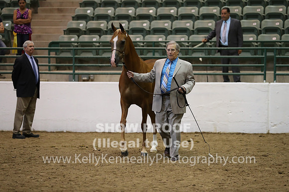 R319_MonAM_0630