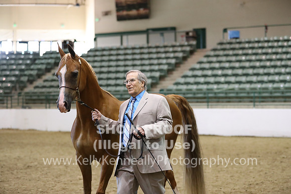 R319_MonAM_0634