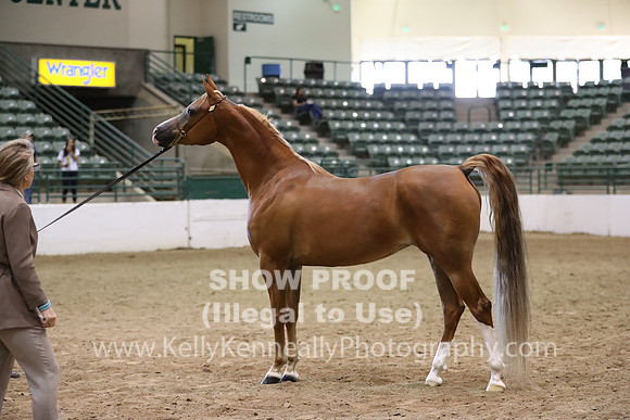R319_MonAM_0635