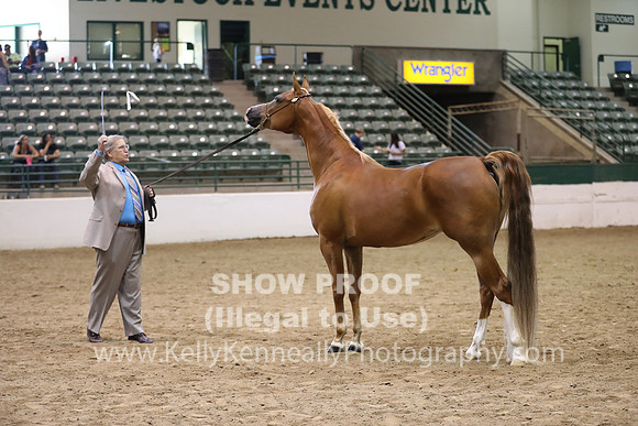 R319_MonAM_0636