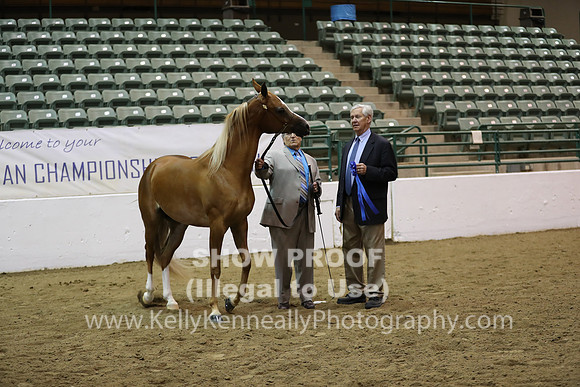 R319_MonAM_0637
