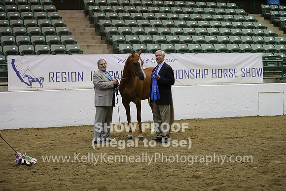 R319_MonAM_0641