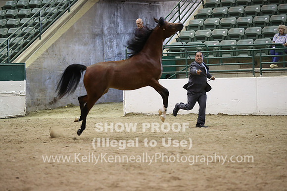 R319_MonAM_0644