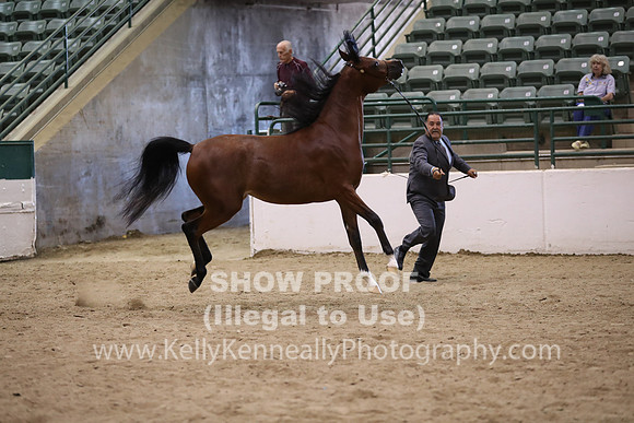 R319_MonAM_0645
