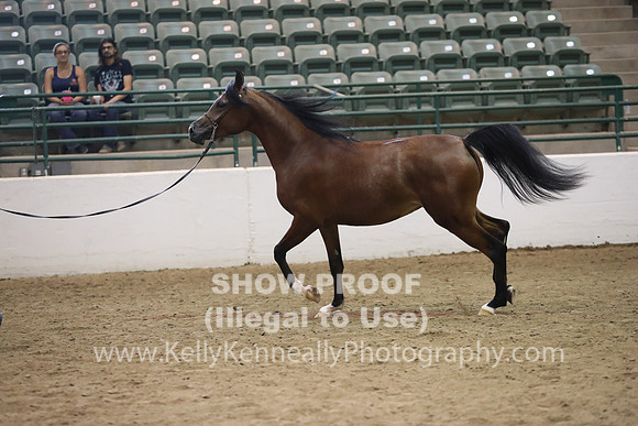 R319_MonAM_0646