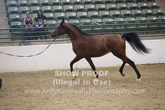 R319_MonAM_0647