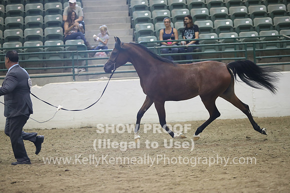 R319_MonAM_0648