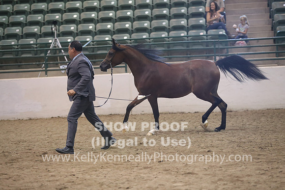 R319_MonAM_0650