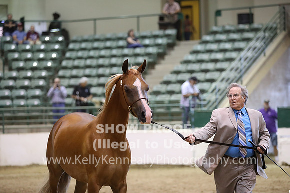 R319_MonAM_0661
