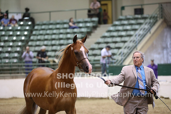 R319_MonAM_0662