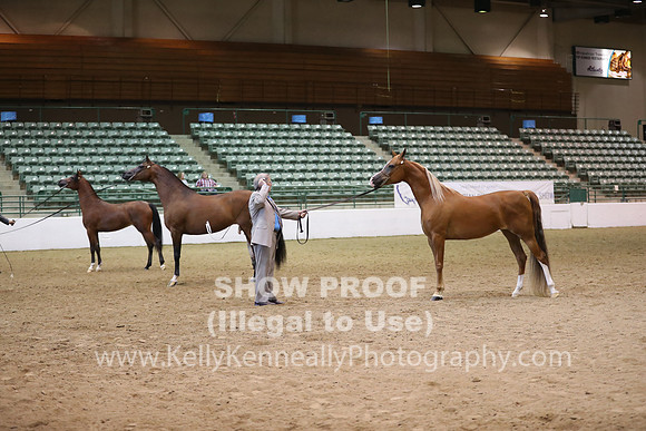 R319_MonAM_0663