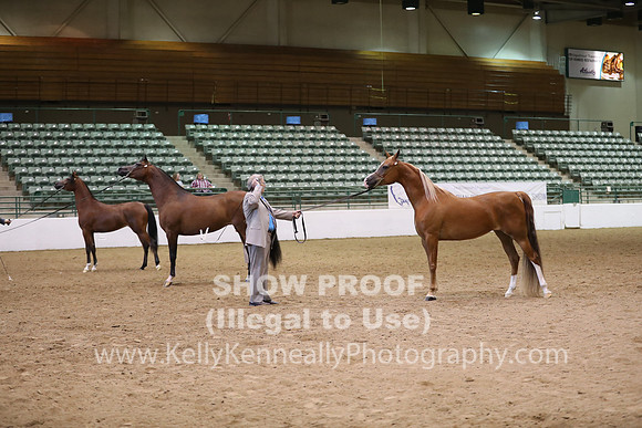 R319_MonAM_0664