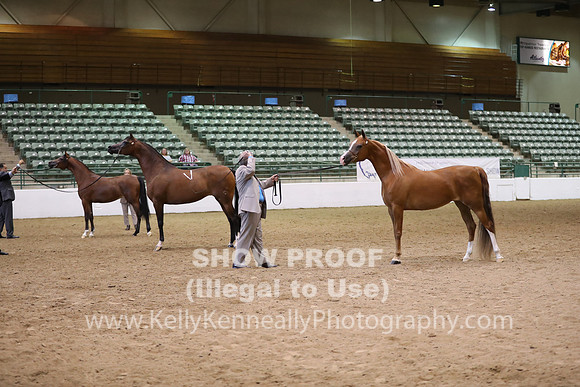 R319_MonAM_0665