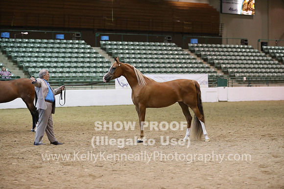 R319_MonAM_0666