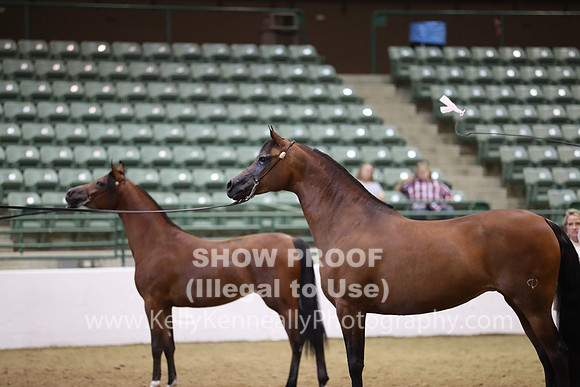R319_MonAM_0667
