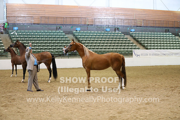 R319_MonAM_0669