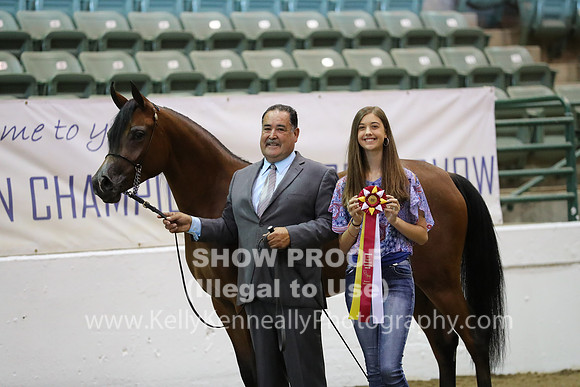 R319_MonAM_0678