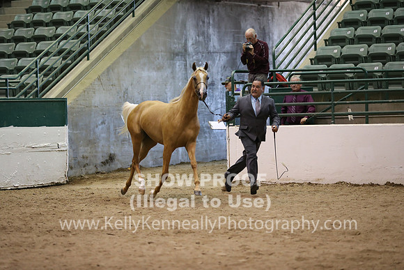 R319_MonAM_0681
