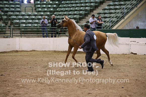 R319_MonAM_0689