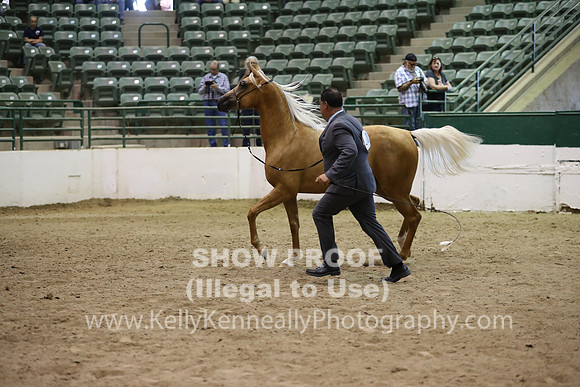 R319_MonAM_0691