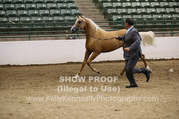 R319_MonAM_0694
