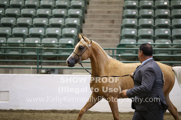 R319_MonAM_0695