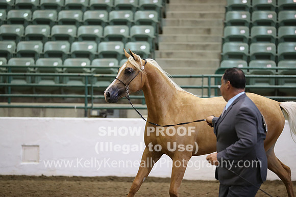 R319_MonAM_0696