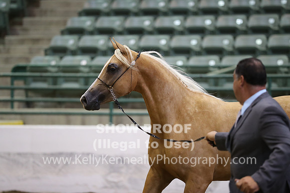 R319_MonAM_0697