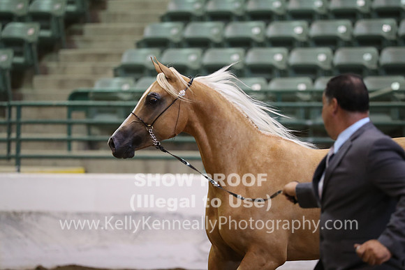 R319_MonAM_0698