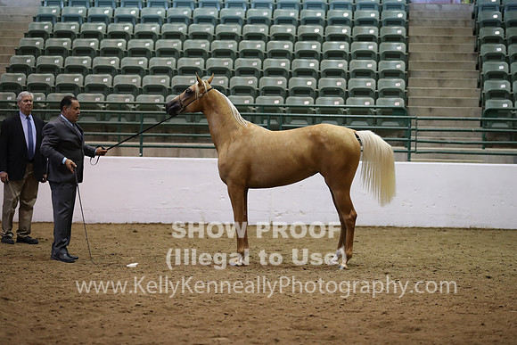 R319_MonAM_0699