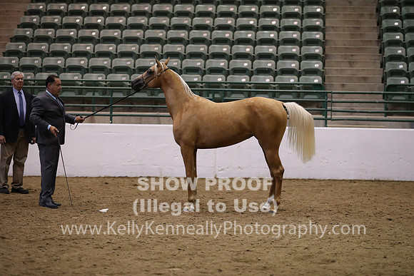 R319_MonAM_0700