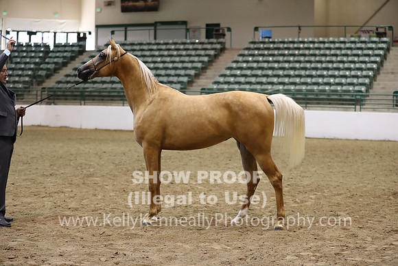R319_MonAM_0703