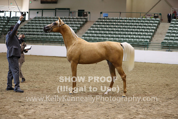 R319_MonAM_0706