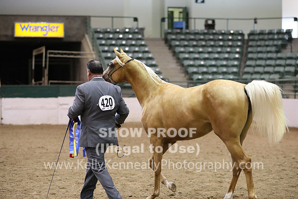 R319_MonAM_0712