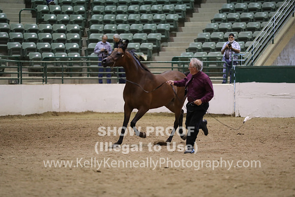 R319_MonAM_0717