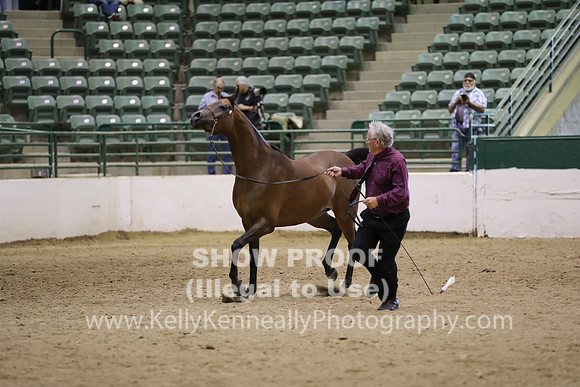 R319_MonAM_0718