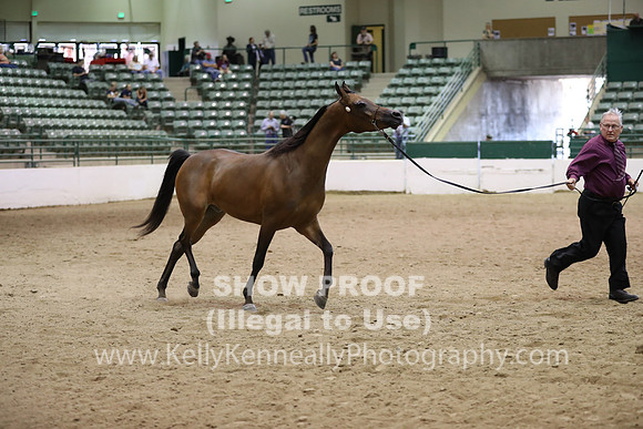 R319_MonAM_0719