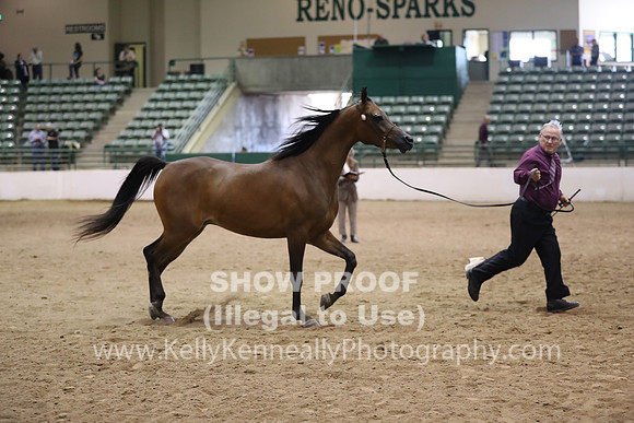 R319_MonAM_0722